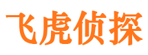 汇川市侦探调查公司